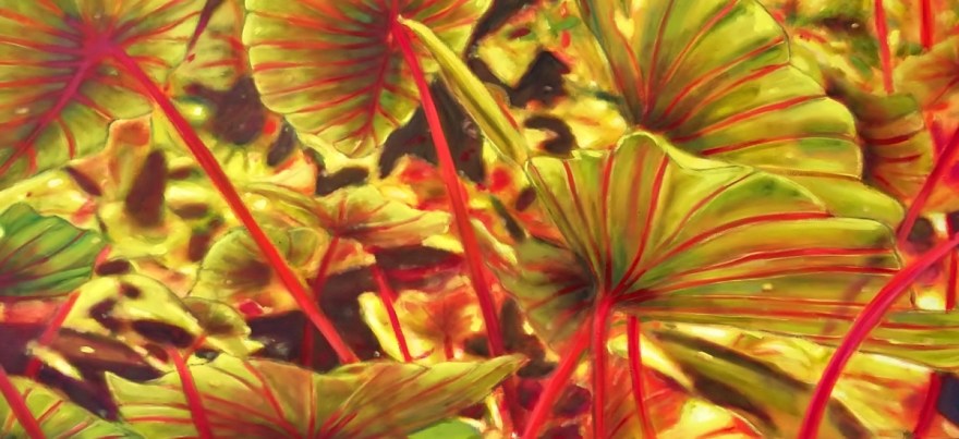 Optimized-einladung-freienhofausstellung-16