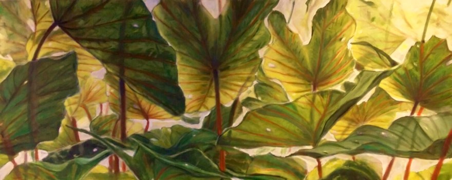 Optimized-img-20160813-wa0149_resized